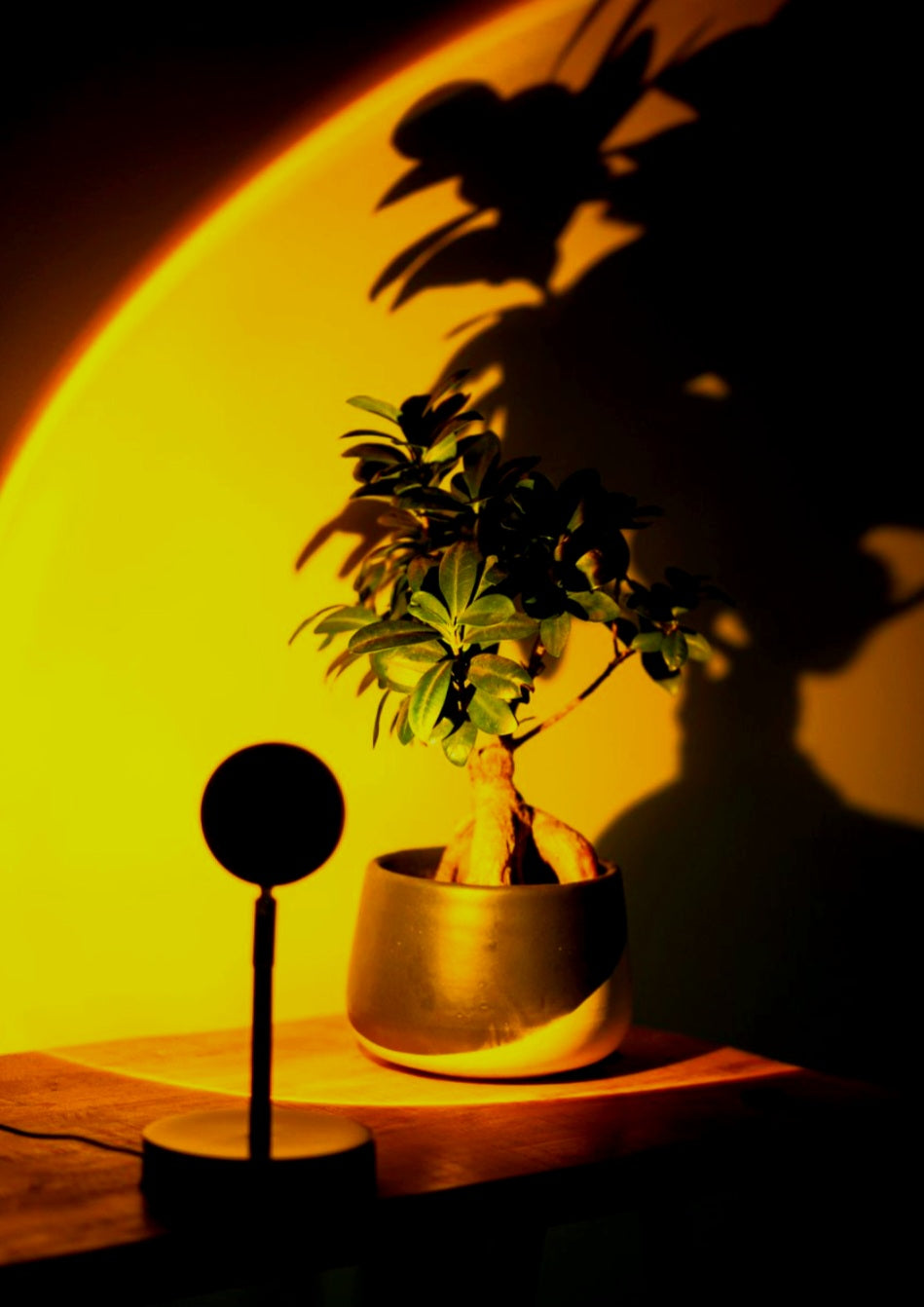 RGB Sunset Projection Lamp – Instantly Upgrade Your Room